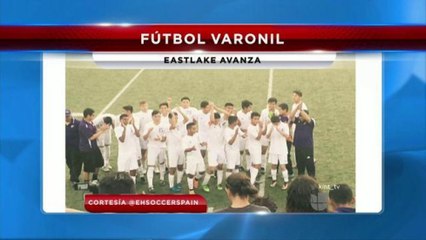 Escritorio Deportivo 4-8