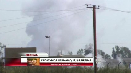Ejidatarios del Valle de Mexicali afirman que las tierras no son aptas para el cultivo.