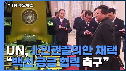 UN 위원회, 北인권결의안 17년 연속 채택...北 백신협력도 촉구 / YTN