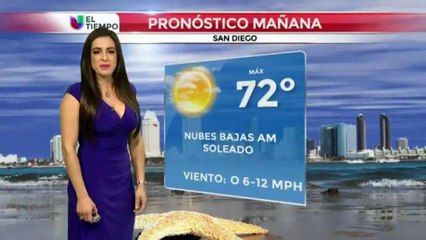 Peligro en las Costas