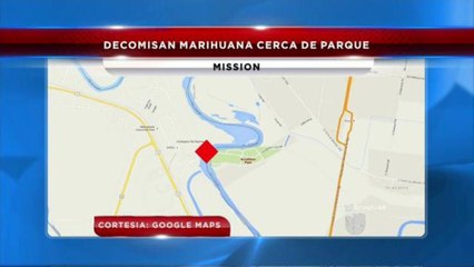 Decomisan más de 200 libras de marihuana