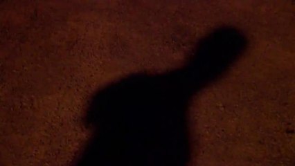 Adrián Puentes rescató a hombre de las aguas