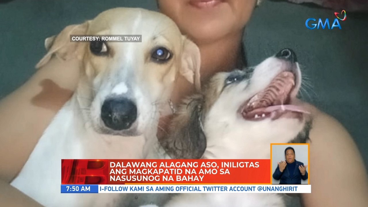 Dalawang alagang aso, iniligtas ang magkapatid na amo sa nasusunog na bahay | UB