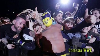 Escritorio Deportivo 4-17