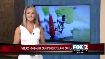 Man Caught on Camera Stealing Dog from Weslaco Home