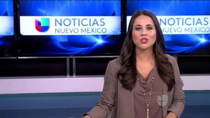 Quieren evitar fraudes en carreras de caballos