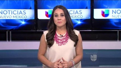 Reflexión sobre el fallo de la Corte sobre DACA y DAPA