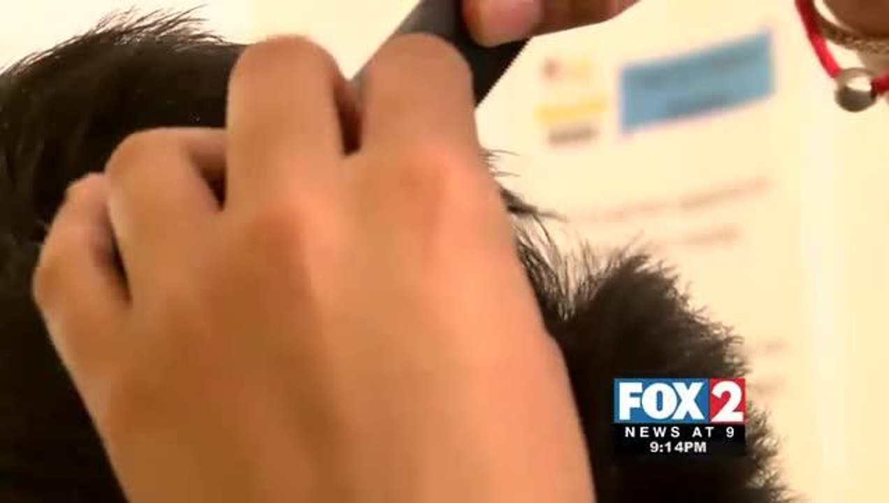 Nit Picking lice: Myth vs. Reality