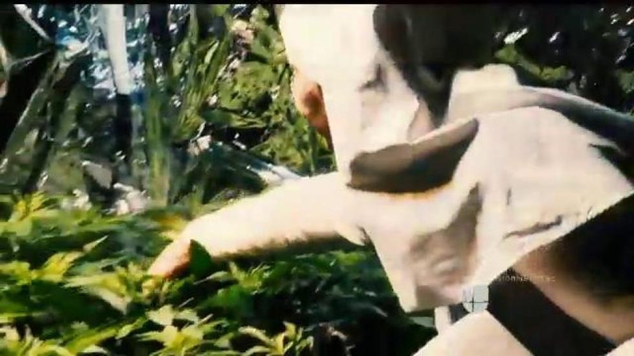 "Las monjas de la marihuana"