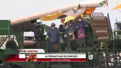 Alternativa de empleos.