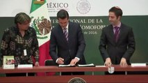 Presidente de México Propone Legalizar los Matrimonios Homosexuales