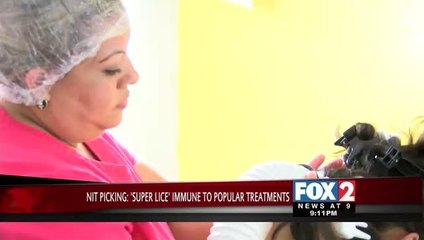 Nit Picking: \'Super\' Lice Cases Spike as Parasite Becomes Resistant to Drugs