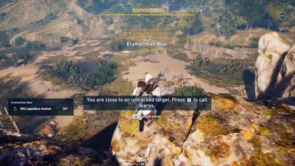 Here Piggie Piggie Piggie