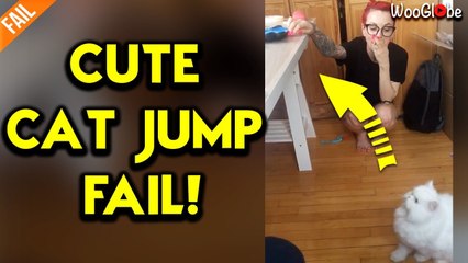 'Owner can't stop laughing as declawed cat fails to jump onto a table due to poor grip'