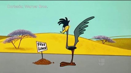 ¡El correcaminos existe! y le encontramos.