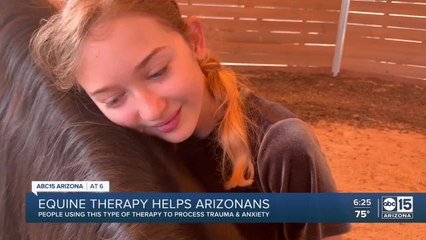 North Phoenix horse therapy ranch helping to wrangle anxiety