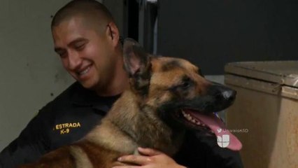 Reportaje Especial: Jubilación canina