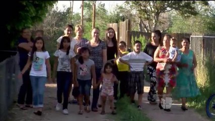 Alto a accidentes y atropellamientos