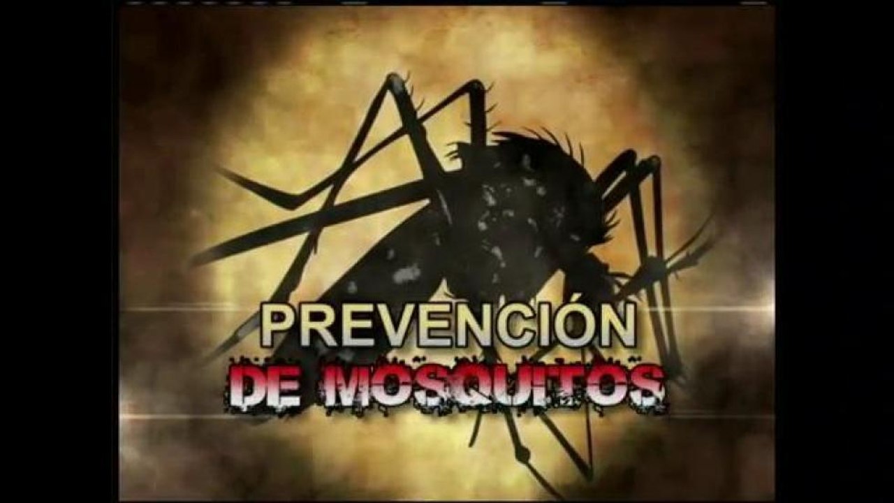 Recomendaciones para evitar a los mosquitos