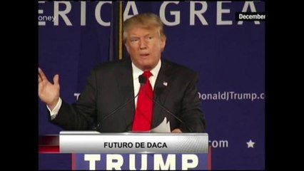 Futuro de DACA en manos de Trump