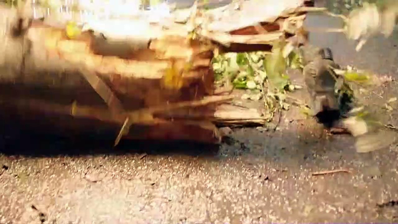 DC's Legends of Tomorrow Season 7 Episode 7 Promo
