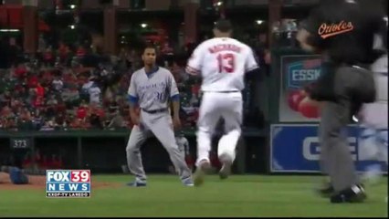 Lemurs now hold best record in the league