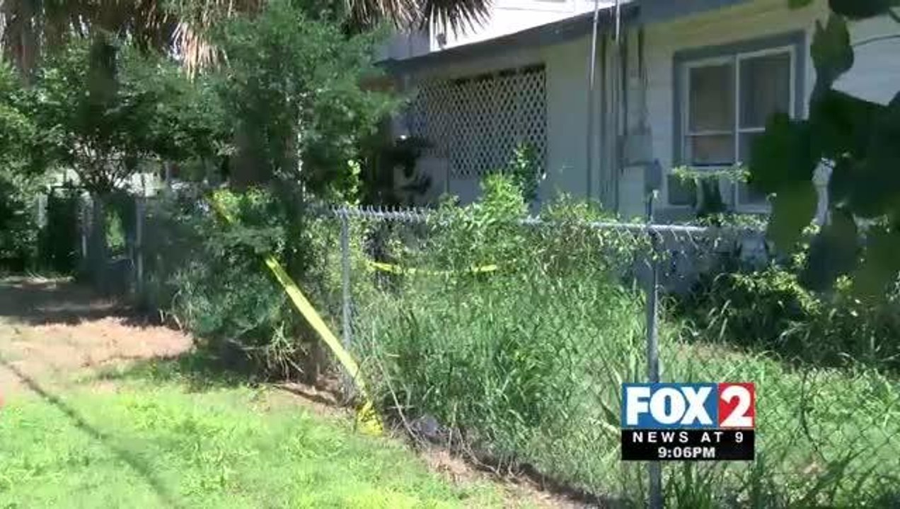 85-Year-Old Mission Man Survives Bee Attack, Officials Stress Precaution