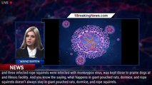 CDC: Monkeypox Virus Case Confirmed In Maryland, Second In US In 2021 - 1breakingnews.com
