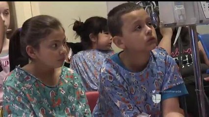 Los elefantes podrían traer una solución contra el cáncer