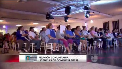 Preguntas y respuestas sobre licencias para inmigrantes