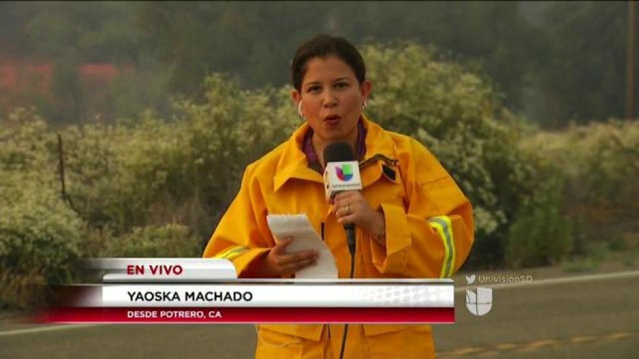 Temperaturas históricas, con el calor y vientos crecen los incendios en nuestra Región