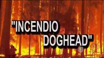 Dan a conocer más detalles sobre el incendio Dog Head