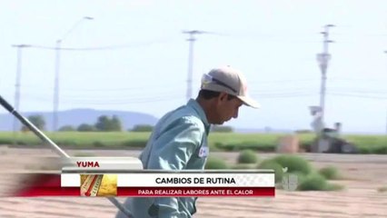 Cambios de rutina debido a las altas temperaturas.