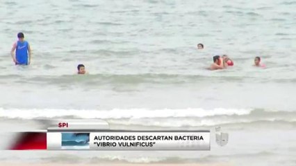 Autoridades descartan bacteria "vibrio vulnificus" en la Isla del Padre