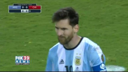 Lemurs back in second place.