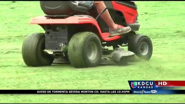 Dos hombres mueren mientras podaban el patio de su casa