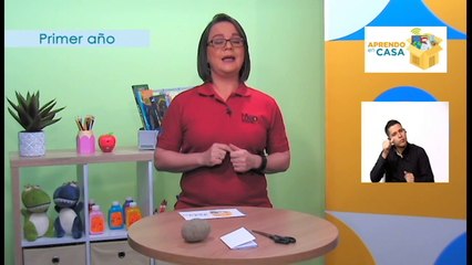 #AprendoEnCasa Sociales: Estrategias para prevenir el Bullying y denunciarlo en mi escuela (Primer Año - Primaria)