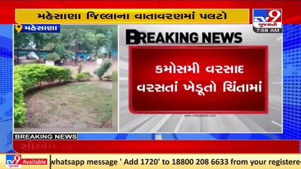 Farmers worried over unseasonal rain in Mehsana _ TV9News