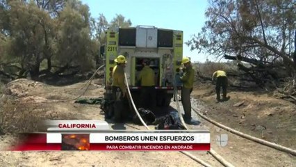 Bomberos unen esfuerzos.
