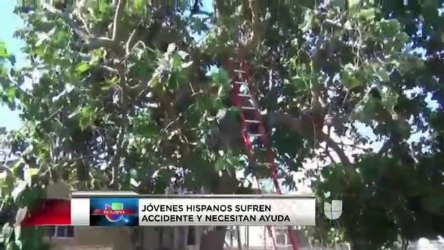VIDEO: Jóvenes hispanos piden ayuda tras sufrir accidente