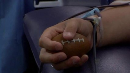 Done sangre este fin de semana