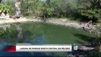 Investigan muerte de peces en laguna local