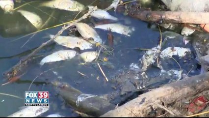 North Central park pond lose water