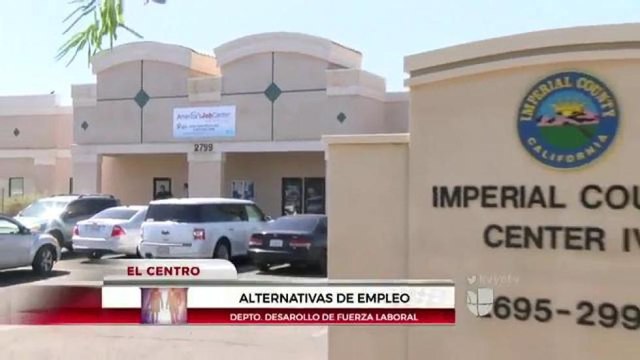 Alternativas laborales.