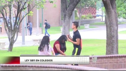 Ley que permite portar armas también se aplicará en colegios comunitarios