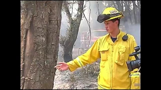 VIDEO: Recorrido por área devastada del incendio Soberanes