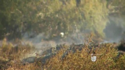 Incendio consume 20 acres cerca de carretera en Brownsville