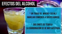 VIDEO: Efectos del alcohol en su cuerpo