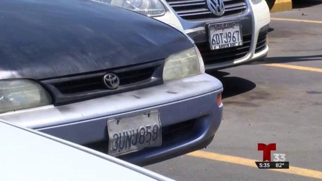 Censo de autos chocolate podría ser el primer paso para regularización en BC