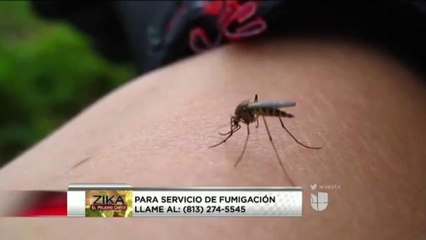 VIDEO: Prevención contra el zika tras el paso de Hermine